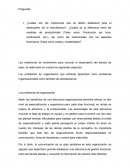 Los problemas de organización