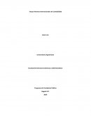 Ensayo sobre Normas internacionales de Contabilidad