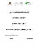 Ergonomia prácticas