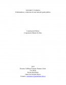 Actividad 5- Evaluativa Problemáticas y soluciones de una rama del poder público