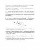 Cuestionario fármaco química antibioticos