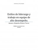 GESTION DEL CAPITAL HUMANO. Estilos de liderazgo y trabajo en equipo de alto desempeño