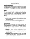 Copes Tango Copes, breve reseña del espectáculo