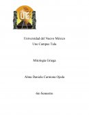 Final Metodologia de la investigacion (Mitologia griega)