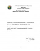 PROPUESTA DE IMAGEN CORPORATIVA PARA EL ‘’GRUPO EVENTOS MYW VIP".PÁGINAS PRELIMINARES