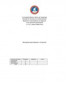 Monografía sobre migración y desarrollo