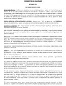 Concepto de cultura