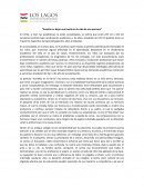 Ensayo pelicula estrellas en la tierra