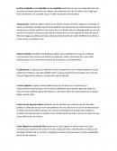 Contaminacion ambiental. La etica ambiental