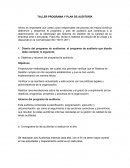 Taller programa y plan de auditoria