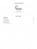 Caso Latam Gear Hardened Steel