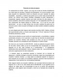 Resumen de idea de negocio