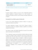 Caso práctico: Mercadona, la fortaleza de un potente modelo de gestión