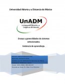Ensayo y generalidades de sistemas seliccionados