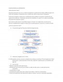PLANIFICACIÓN DEL EXPERIMENTO.Problema aplicativo de termodinamica