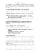 Perfil por Competencias