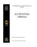 Aplicación de un análisis urbano para identificar y proponer soluciones a problemas de movilidad, sostenibilidad, inclusión social y recuperación de la identidad cultural en una ciudad