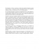 FORO: IDENTIFICAR LOS LÍMITES E IMPORTANCIA DEL RE DIRECTO