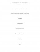 EL EXAMEN MENTAL EN LA HISTORIA CLINICA