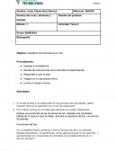 Alimentos. Objetivo: identificar las funciones de un bar