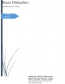 Brazo hidraulico