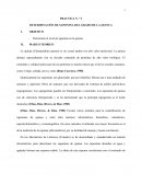 PRACTICA N. º 5 DETERMINACIÒN DE SAPONINA DEL GRADO DE LA QUINUA