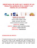 IMPORTANCIA DEL BUEN USO Y MANEJO DE LOS PRODUCTOS QUÍMICOS EN EL HOGAR Y LAS PIEDRAS EN LOS RIÑONES