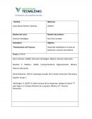 GESTECION INTEGRAL PARA EL INCREMETNO DE USUARIOS RADIOMOVIL DIPSA TELCEL