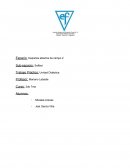 Gimnasia Taller de docencia. Softbol