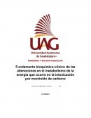 Fundamento bioquimico-clinico en la intoxicacion por monoxido de carbono