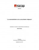 La sustentabilidad en las comunidades indígenas