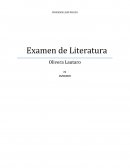 Examen de literatura