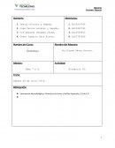 Información Mercadológica y Financiera de Cortes y Perfiles Especiales, S.A de C.V.