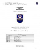 Ensayo Liderazgo de Nelson Mandela