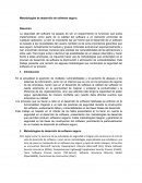 Metodologias del desarrollo de software seguro