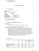 Modelo de informe de Test McCarti