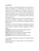 Las proteínas. La estructura de las proteínas