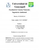 Análisis “LUZ Y SONIDO”