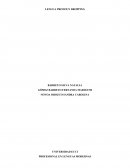 LENGUA PRONOUN DROPPING