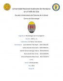 Metodología de investigación educación superior en Honduras