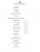 Biocompatibilidad de los materiales dentales