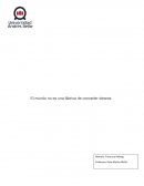 Ensayo libro bajo la misma estrella