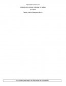 Entrevista a los que me rodean