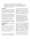 Empleo de varias técnicas para la identificación
