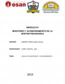 ENSAYO DE MONITOREO Y ACOMPAÑAMIENTO