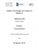 Ensayo “Conocimiento”