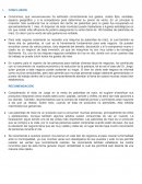 Negocio, conclusion y recomendacion
