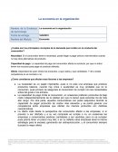 La economia en la organización