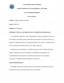 Yacimientos Minerales