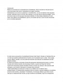 Hotel Xcaret México